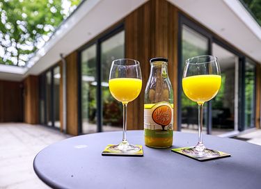 Luxueuse Maison dans la forêt avec sauna à barils à Drenthe - 20
