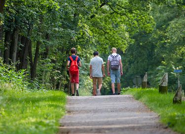 Ruime safaritent voor 6 personen - 26