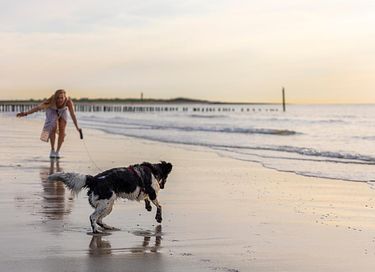 Vakantiehuis op een mooie locatie in Zeeland - 36