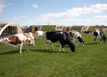 Landelijk gelegen groepsaccommodatie  - 35