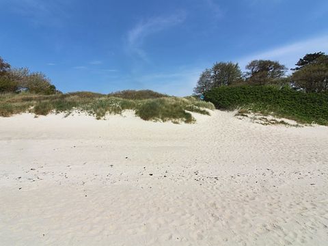 Bungalow di lusso per le vacanze a 350 metri dal mare - 5