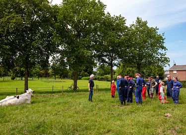 Glamping à la ferme des vaches laitières - 18