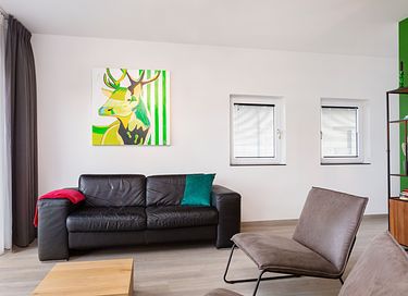 Dog friendly apartment at Sneekermeer - 2