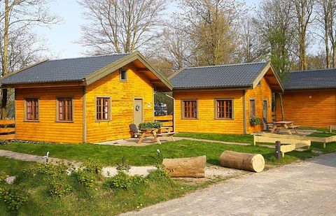 Österreichisches Chalet in den Niederlanden - 2