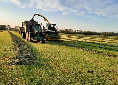 Bijzonder verblijf op biologische boerderij - 25