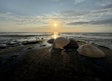Strandhaus in Laufnähe zum Meer - 23