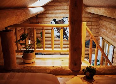Scadinavische lodge – van échte boomstammen - 21