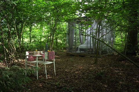 Romantisch slapen midden in het bos - 5