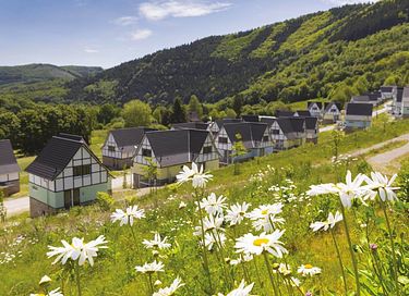 Luxe vakantievilla in de Eifel (Duitsland) - 23