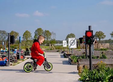 Vakantie op een speelboerderij in Limburg - 28