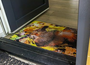 Luxueuse Maison dans la forêt avec sauna à barils à Drenthe - 17