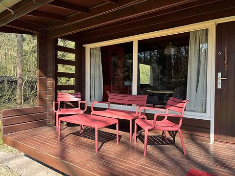 Gemütliches Ferienhaus in der Landschaft von Drenthe - 3