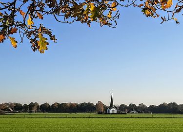 Volledig uitgeruste Yurt in mooie omgeving - 22