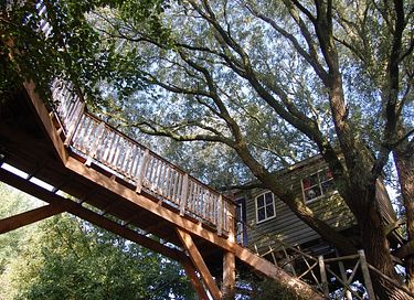 L'arbre a cabane avec un balcon dans un environnement naturel - 4