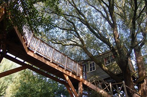L'arbre a cabane avec un balcon dans un environnement naturel - 4