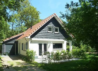 Vebena-Wald 34