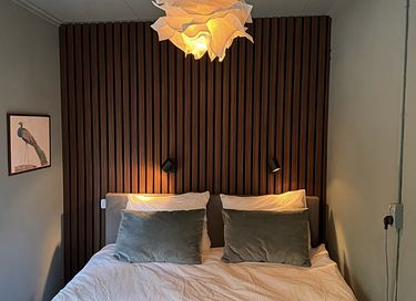 Boshuis met wellness in Drenthe - 19