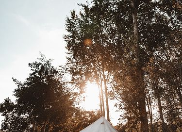 Prachtig gelegen glamping tent (3p) - 3