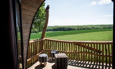 Cabane dans les arbes avec vue sur les collines - 3