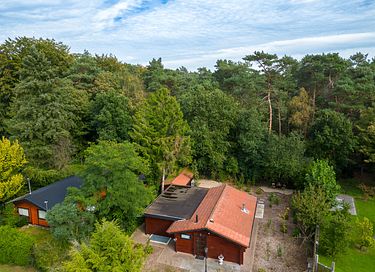 Cabane en rondins robuste avec sauna dans la forêt - 44