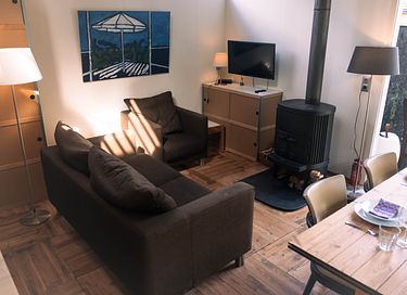 Gemütliches Ferienhaus in den Dünen von Nordholland - 4