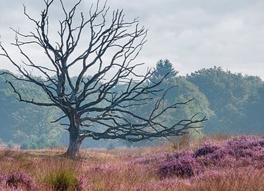 Duurzame boerderijvakantie in Brabant - 20