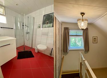 Chalet forestier confortable pour 5 avec grand jardin - 15