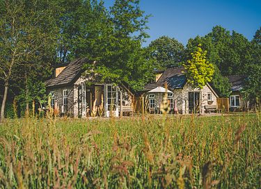 Luxury tiny house in peace and nature - 6