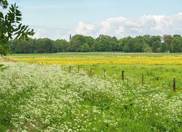 Waldhäuschen auf schönem Landgut - 13