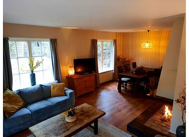 2 maisons la forêt adjacentes dans Drenthe - 38