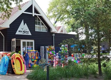 Tiny house op familiepark aan het Veluwemeer - 15