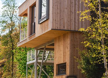 Boomhut (6p) in het Harz gebergte - 2