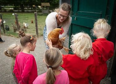 Glamping auf einem Schafbauernhof in Zeeland - 6