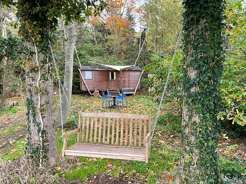 Shepherds hut in Drenthe with an unobstructed view - 2