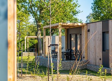 Houten tiny house in Limburg  - 10