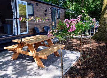 4-person vacation chalet in the middle of the Veluwe - 3