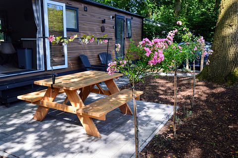 4-person vacation chalet in the middle of the Veluwe - 3