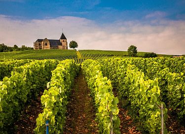 Floating Tiny House in the Champagne region - 32