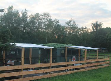 Omgebouwde leger operatiewagen in de natuur! - 9