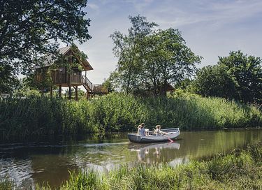Maison dans les arbres à Overijssel au bord d'une rivière - 4
