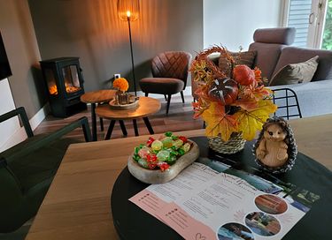 Wellnesshuis met jacuzzi en sauna - 2