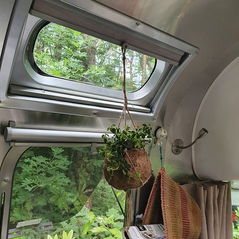 Authentieke Airstream caravan in het bos - 3