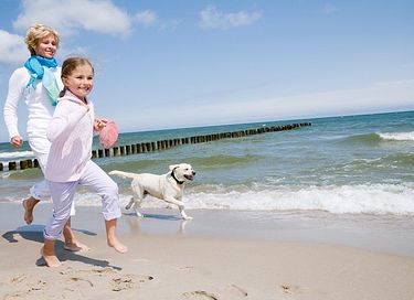 Gîte acceptant les chiens sur la côte belge - 18