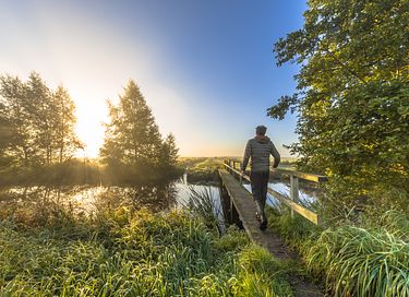 Vakantiehuis met bedstee in de natuur - 30