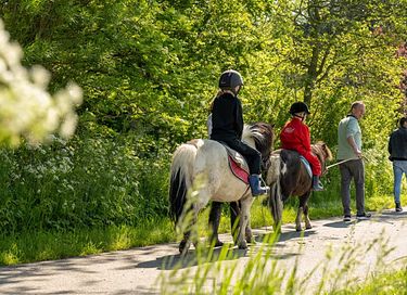 Glamping op een boerderij in Friesland - 18