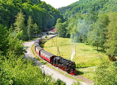 Boomhut (6p) in het Harz gebergte - 40