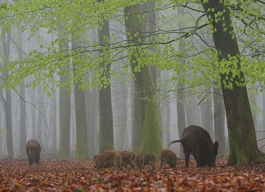 Genieten van wellness en rust - 25