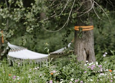 Tiny house met uniek ontwerp - 9