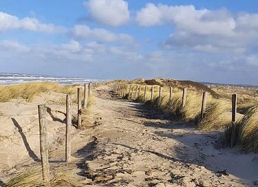 Logement de vacances dans les dunes avec beaucoup d'intimité - 46