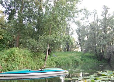 Unieke paardentram op een prachtige locatie - 22